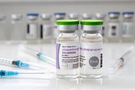 Cobertura do Zolgensma® (Onasemnogene Abeparvovec) pelos Planos de Saúde: Direito dos Pacientes com AME