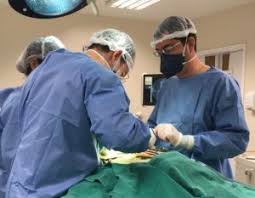 Cirurgia de Correção de Escoliose Grave: Direito à Cobertura pelos Planos de Saúde