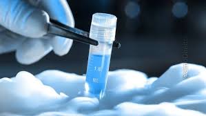 Planos de Saúde Devem Cobrir Congelamento de Óvulos em Pacientes com Câncer?